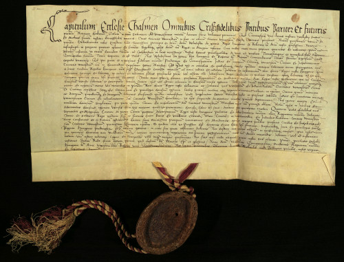 XIII-175: Čazmanski kaptol prepisuje ispravu kralja Vladislava II. od 12.11.1512.