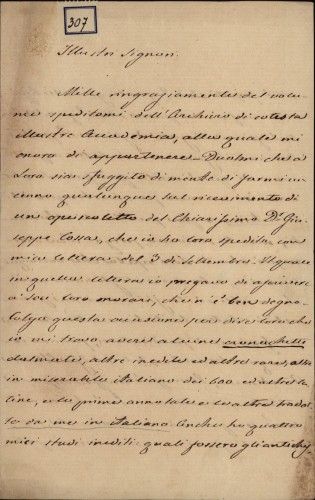307 | Pismo Augustina Antuna Grubišića Ivanu Kukuljeviću